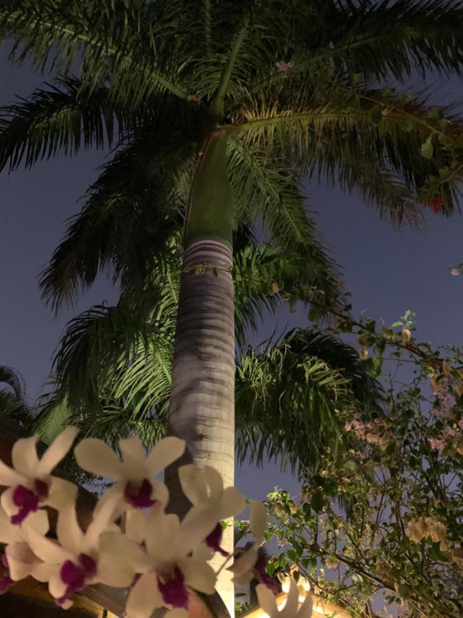 Villa Lulu Maison Búzios Εξωτερικό φωτογραφία
